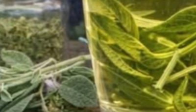 Sage Leaves: Properties and Health Benefits