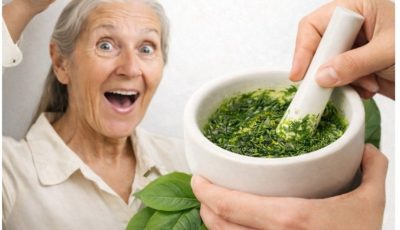 🌿The Powerful Leaf People Are Talking About — What the Research Really Says