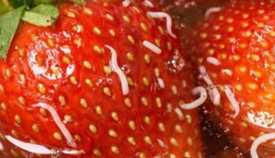 Why Tiny White Worms Come Out of Strawberries in Salt Water