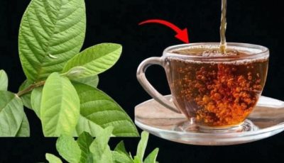 help your well-being: natural support for diabetes, poor circulation, high blood pressure and more