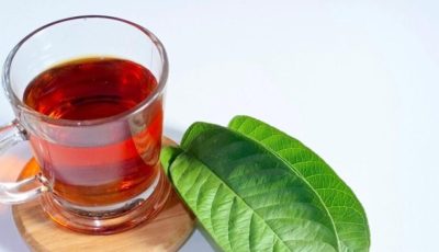 30 benefits and 20 properties of guava leaf tea