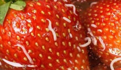 Why Tiny White Worms Come Out of Strawberries in Salt Water