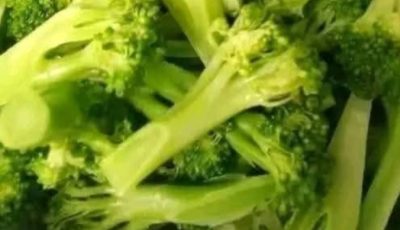 The Benefits of Broccoli