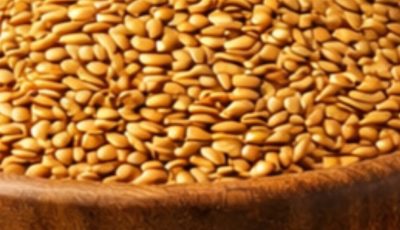 Alpiste: The Miracle Seed of Nature (Benefits, Uses, and How to Consume It
