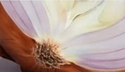 Purple Onion Remedy: The Simple Homemade Recipe That Supports Lungs, Relieves Cough, and Boosts Immunity