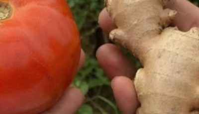 Cholesterol-Free Anti-Inflammatory Drink: A Simple Natural Recipe You’ll Love