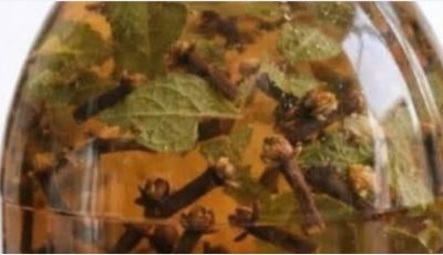 Mix Ginger with Cloves and Discover Amazing Health Benefits