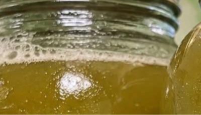 Herbal Green Support Drink