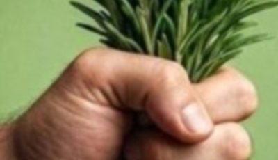 They call it natural morphine because it removes muscle, joint, and rheumatic pain