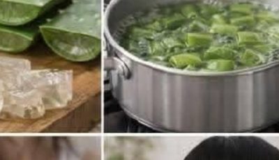 How to Make Aloe Vera Oil for Faster Hair Growth & Stop Hair Loss | Natural Hair Remedy