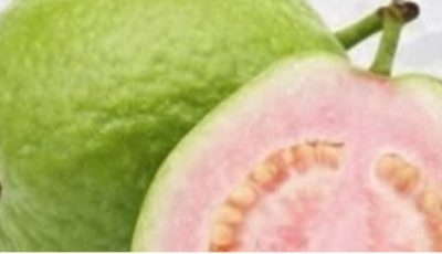 Guava Leaf Tea: Benefits, Properties, and How to Prepare It