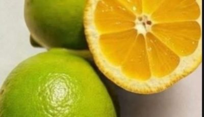 Lemon Peel Tea: A Refreshing, Natural Drink for Hydration and Daily Wellness