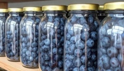 How to Preserve Fresh Blueberries at Home for Months