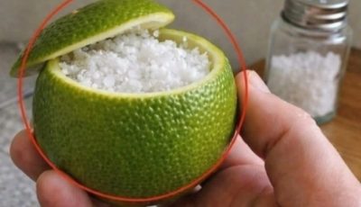 The Salted Lemon Air Purifier